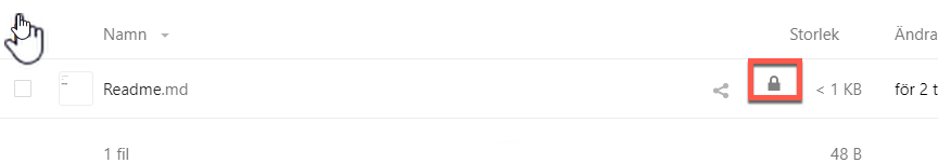 Lock button in file list is marked.