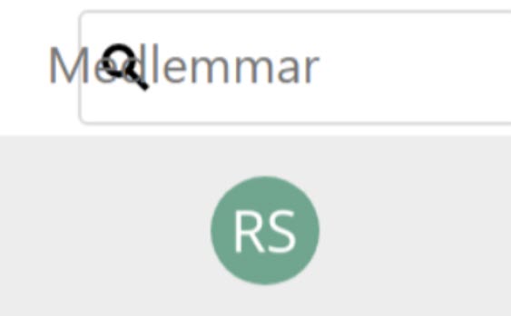 Search area, placecolder text does not fit in the input field.