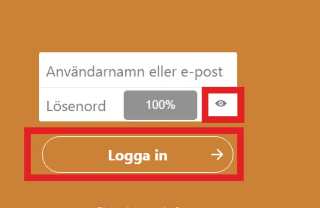 Form field with a light grey line to mark a textbox. 