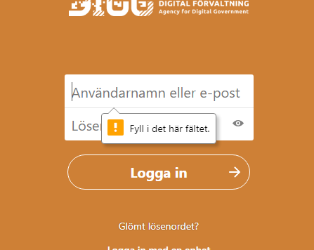 Browser error message in login page.