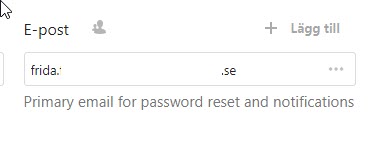 An email input field with a label and a text with extra information under it.