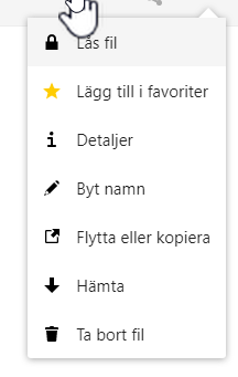 Dropdown menu for lock filed is oped. 