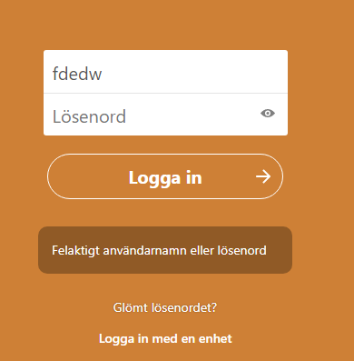 Sign in page with error message below login button. 